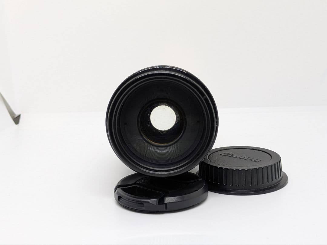 1月19日限定販売♪【超望遠レンズ】Canon EF 75-300mm