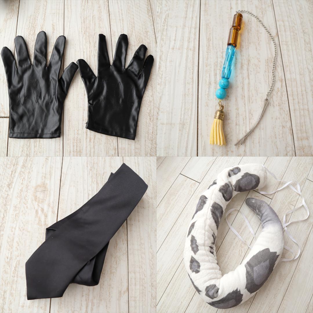 【難あり】　アークナイツ　シルバーアッシュ　衣装＋鳥（テンジン）＋ウィッグ　Ｍ