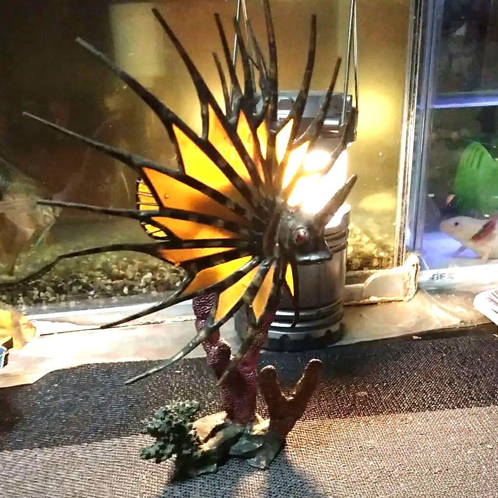 ステンドグラス（ミノカサゴ置物❄プロフ必読