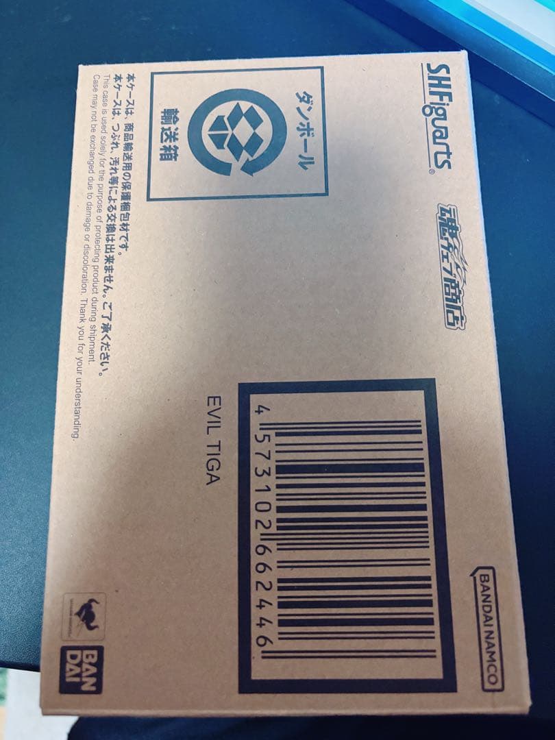 真骨彫 イーヴィルティガ