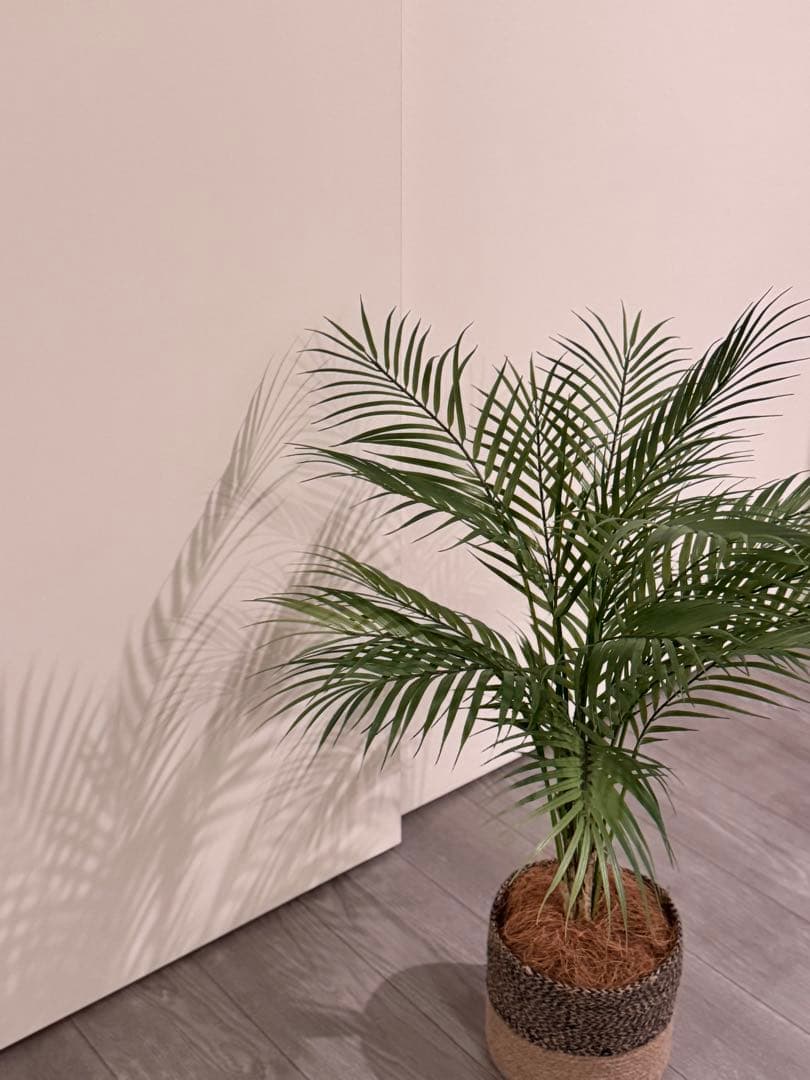 Prima フェイクグリーン 観葉植物 アレカヤシ