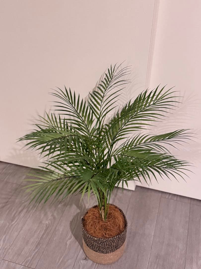 Prima フェイクグリーン 観葉植物 アレカヤシ