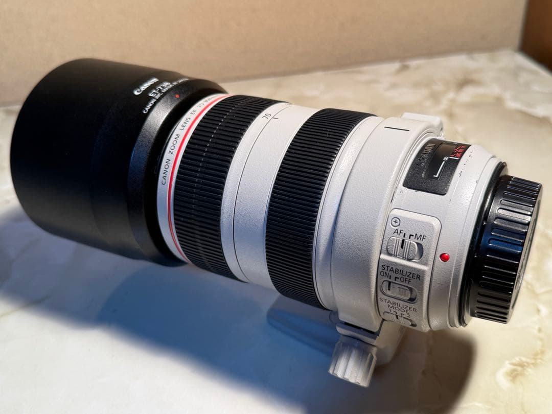 レンズ(ズーム) Canon EF70-300L F4-5.6 IS USM