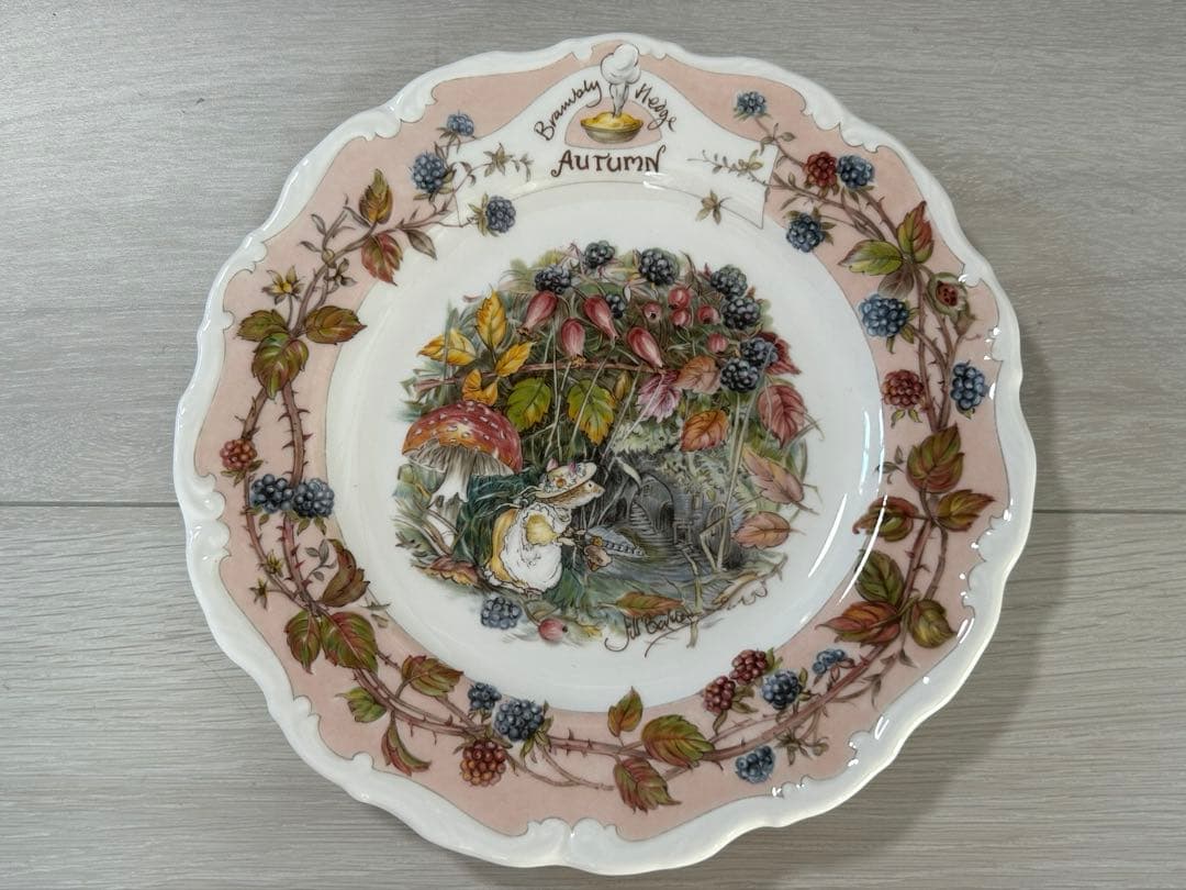 未使用ロイヤルドルトン フォーシーズンズ プレート