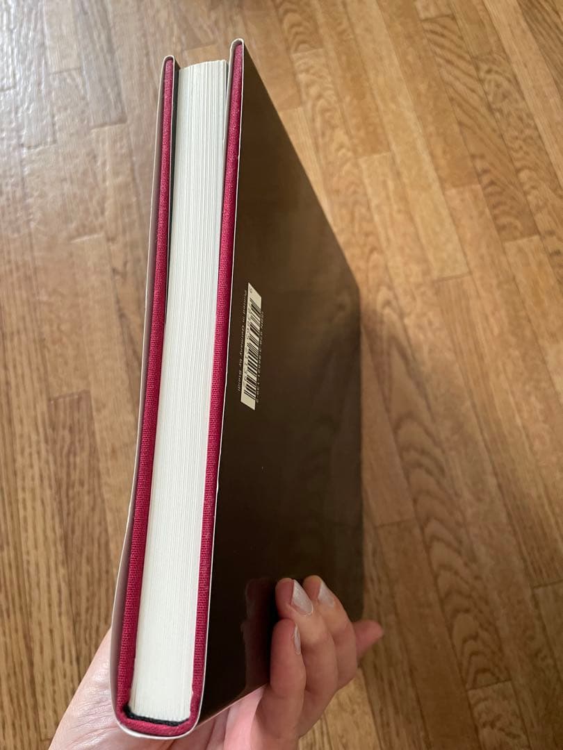 SAUL LEITER / Early Color ソール•ライター写真集