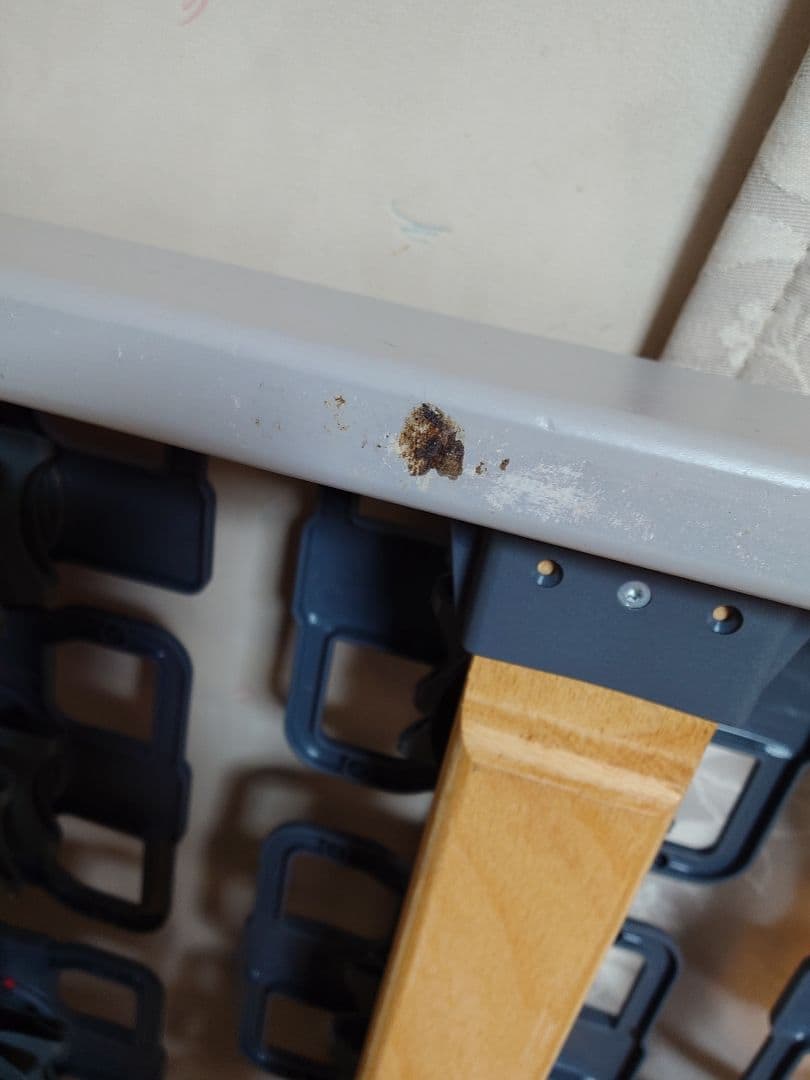 テンピュール TEMPUR Floor Bed1 フロアベッド1 セミダブル