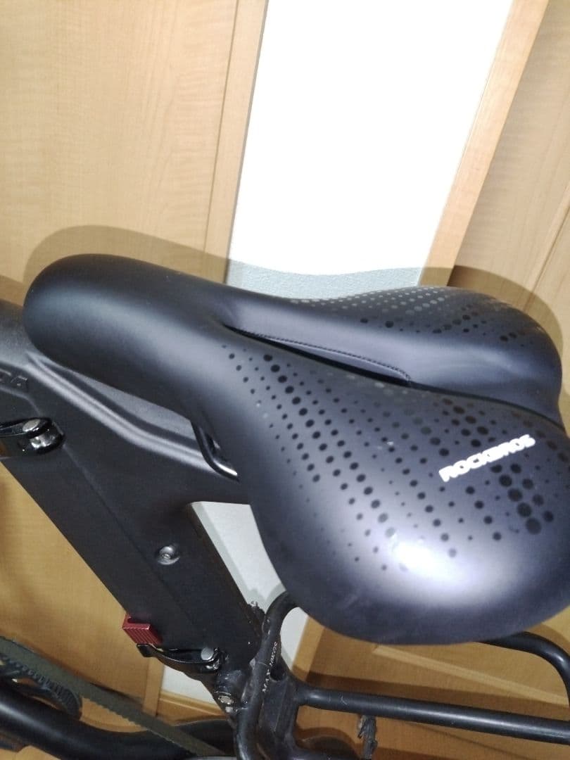 【引き取り限定】STRIDA 5.0 ブラック 16インチ 折りたたみ自転車