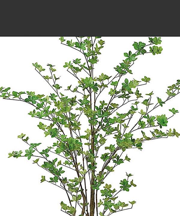 光触媒　人工観葉植物　ウォールグリーン　フェイクグリーン　ドウダン190