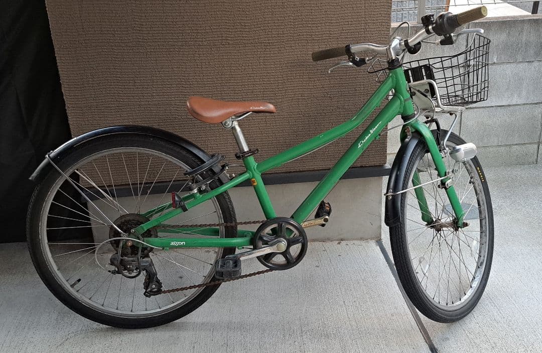 いちこ【直接渡し】 コーダーブルーム　アッソン J24 グリーン