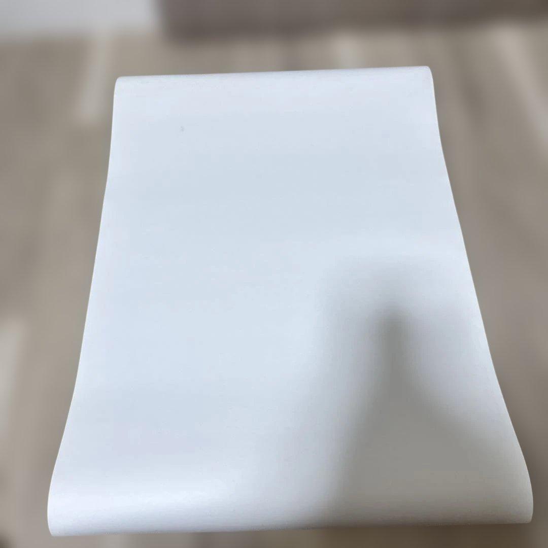 【非売品】PS2 ドラッグオンドラグーン2 店頭ポスターB2