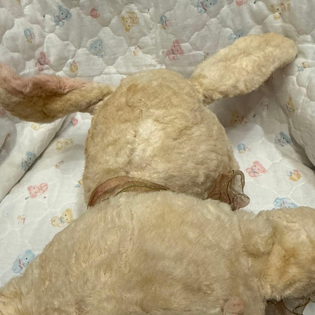 Rushtonラシュトンラバーフェイスベビーバニー