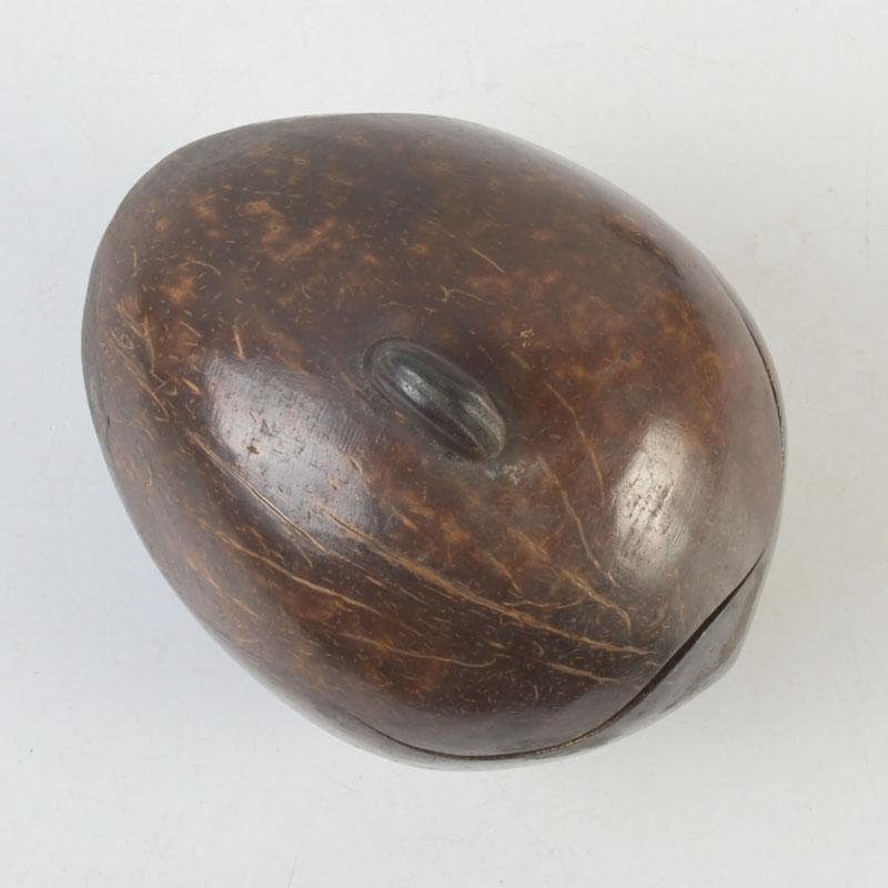 茶道具　椰子の実　内金溜　菓子器　時代箱　M　9853