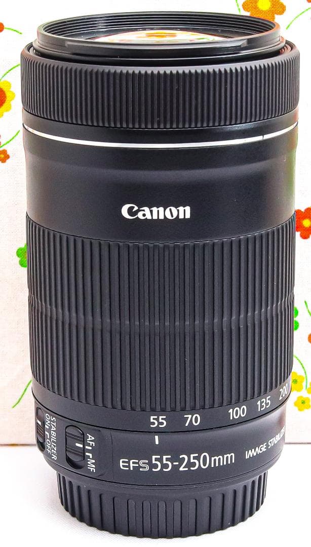 Canon EF-S 55-250mm IS STM☆静かに、遠くまで美しく届く