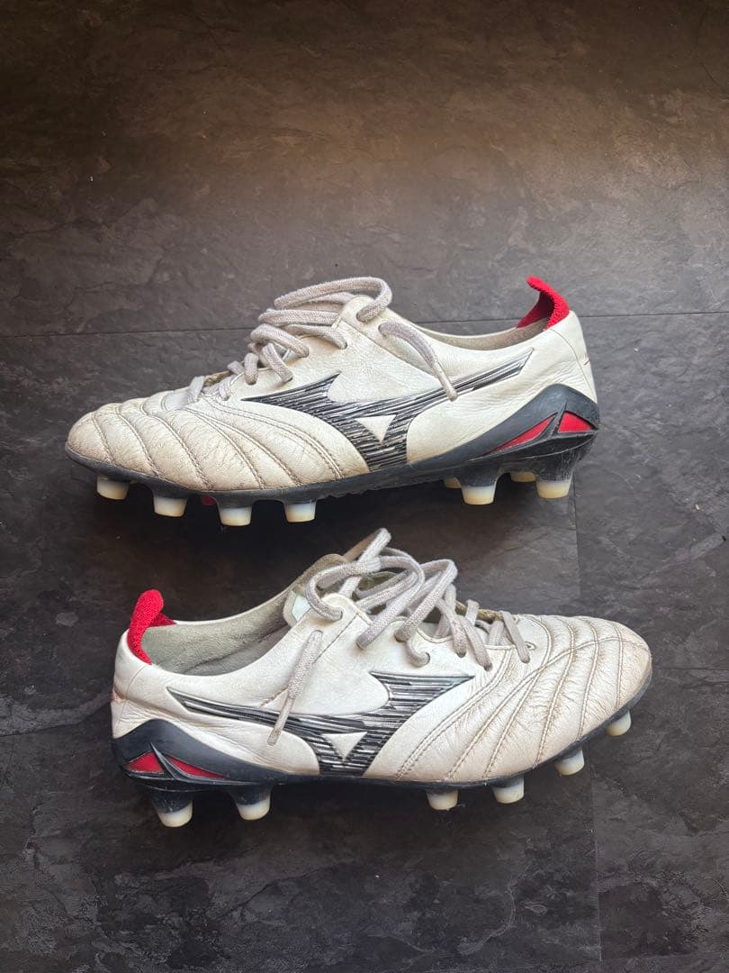 【chi4さん専用】モレリアネオ4