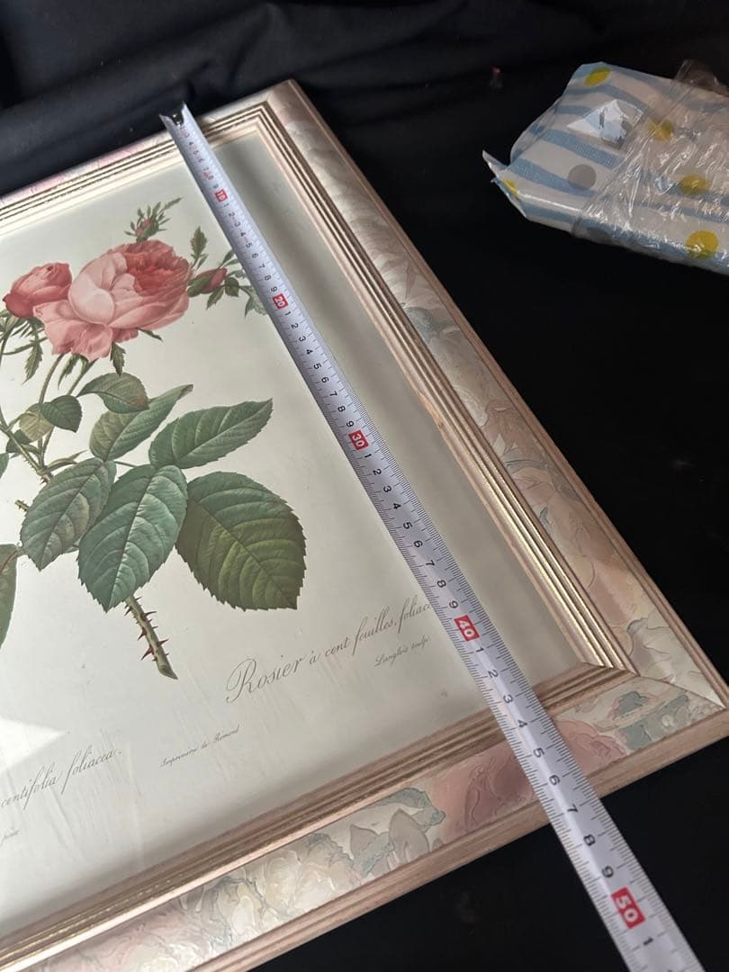 バラの植物画 シルバーフレーム付き