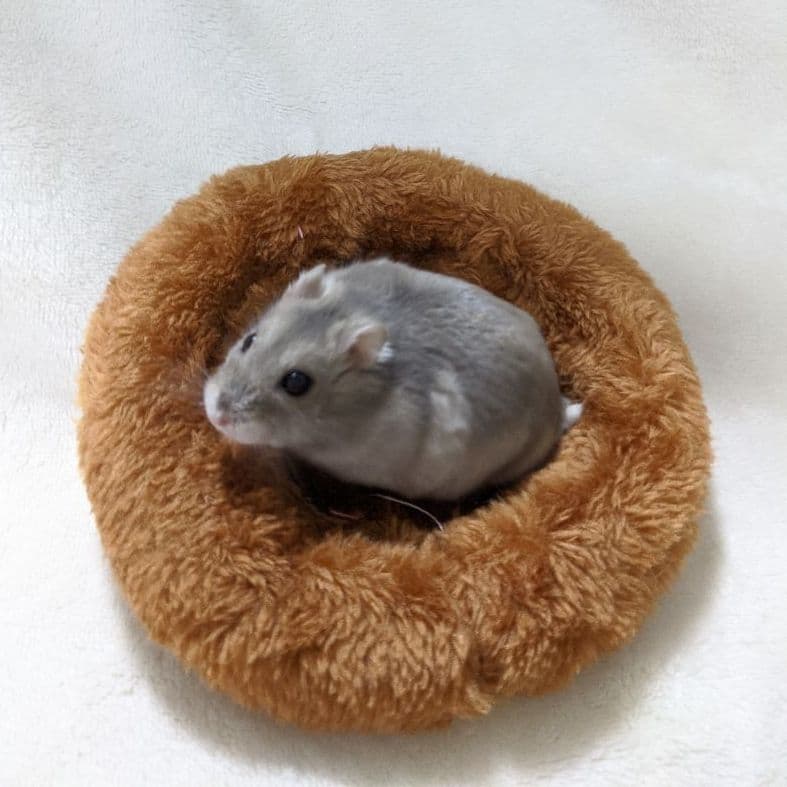 ハムスターベットマット