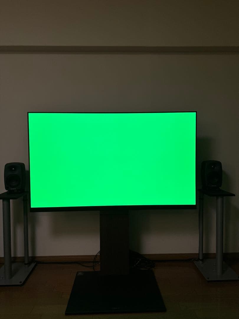 LG 有機EL 55 テレビ TV 本体 OLED55E9PJA プレミア