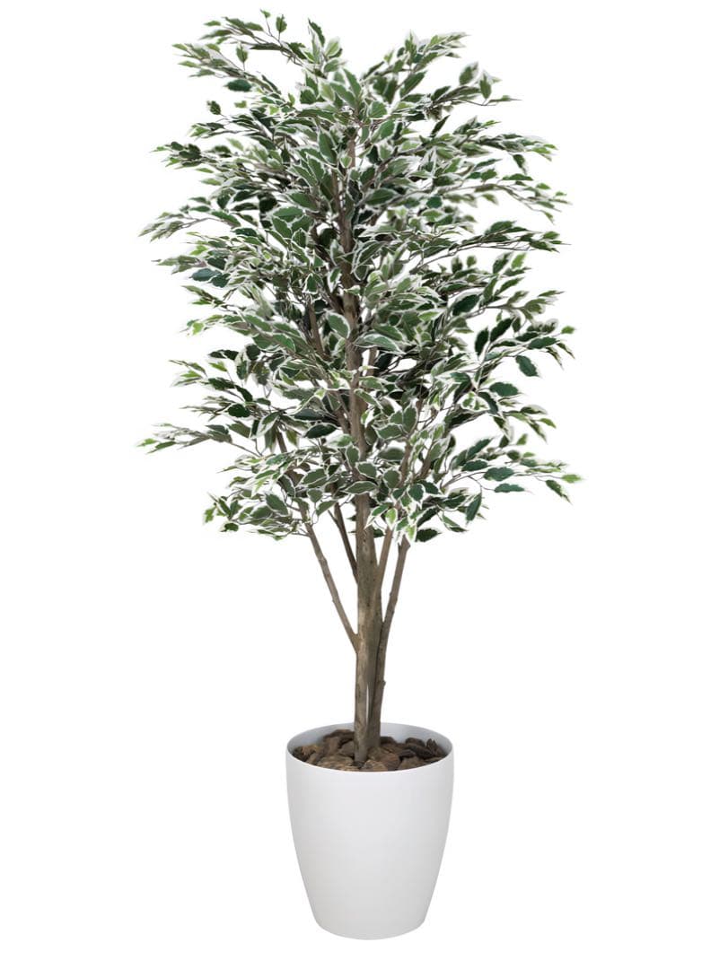 光触媒　人工観葉植物　フェイクグリーン　ベンジャミンツリー斑入リ 1.6m