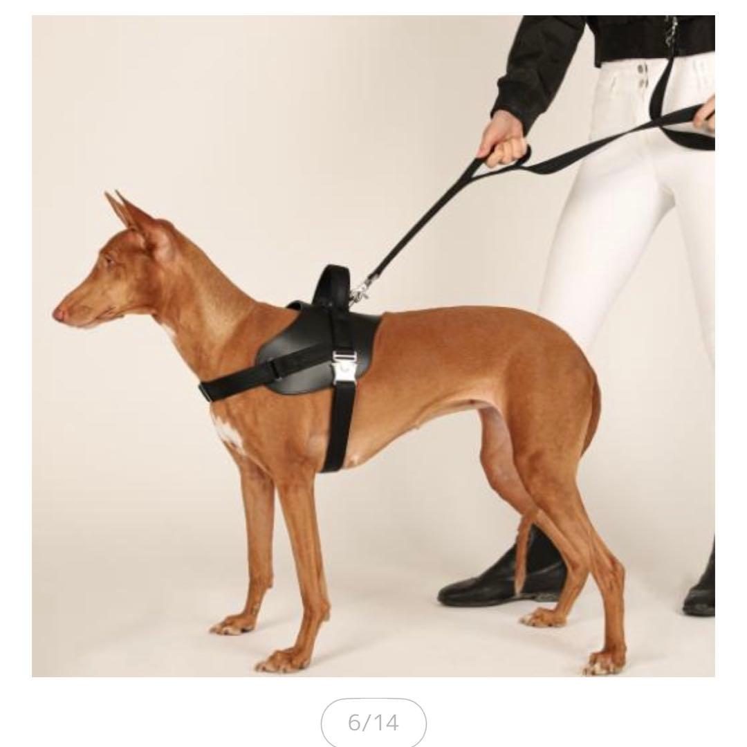 HOZI ブラック ハーネス 調整可能