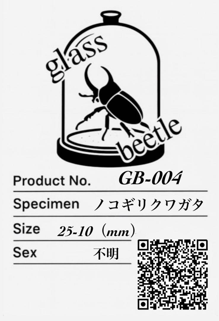【Glass Beetleノコギリクワガタ（モザイク）飛翔標本 GB-004】