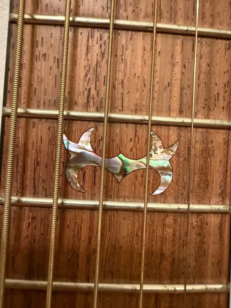 訳あり Morris S-61 Rumbler Series モーリス ギター