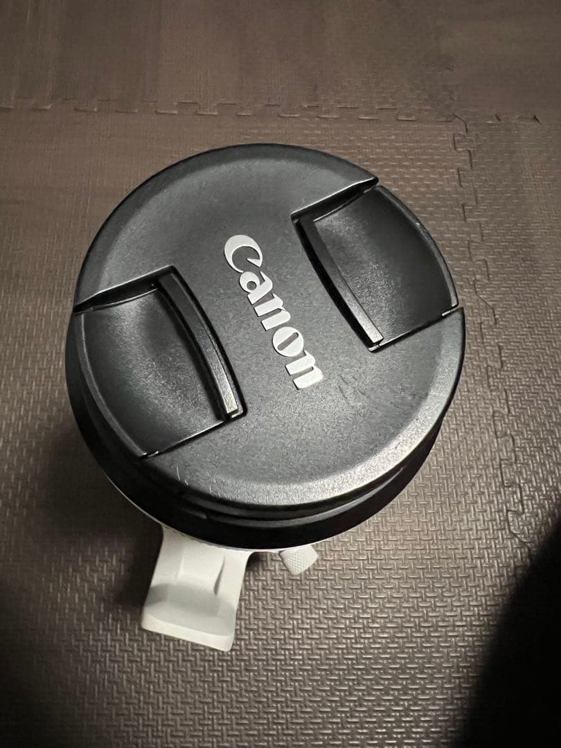 シラスCanonRF100-500mm F4.5-7.1 L IS USM