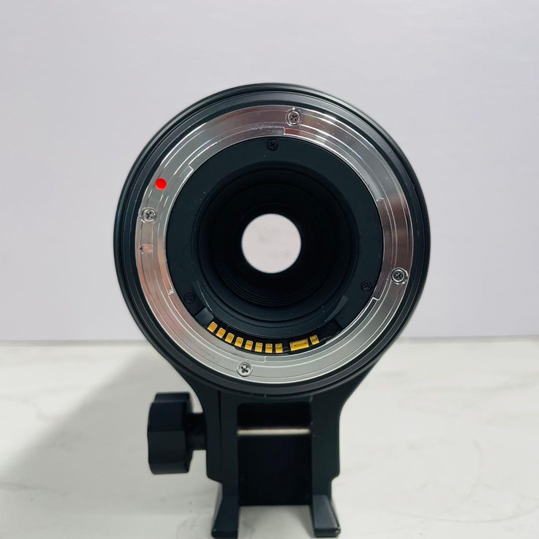 SIGMA シグマ APO 150-500mm F5-6.3 DG OS HSM