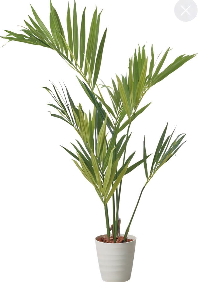 光触媒　人工観葉植物　ウォールグリーン　フェイクグリーン　ケンチャヤシポット15