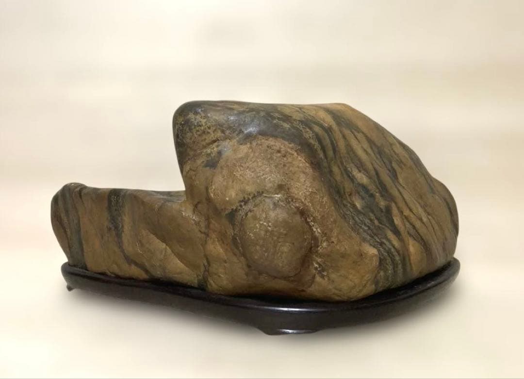 【希望ケ丘】　瀬田川石　瀬田川虎石　飴虎　水石