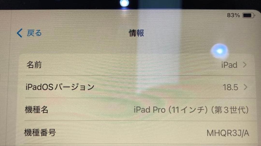美品 iPad Pro 第3世代 11インチ 128gb A2377 本体
