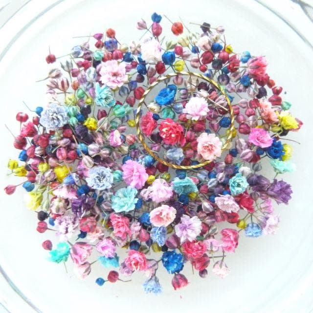 biidoro.0708様◆【ドライフラワー】かすみ草の蕾 着色（824）