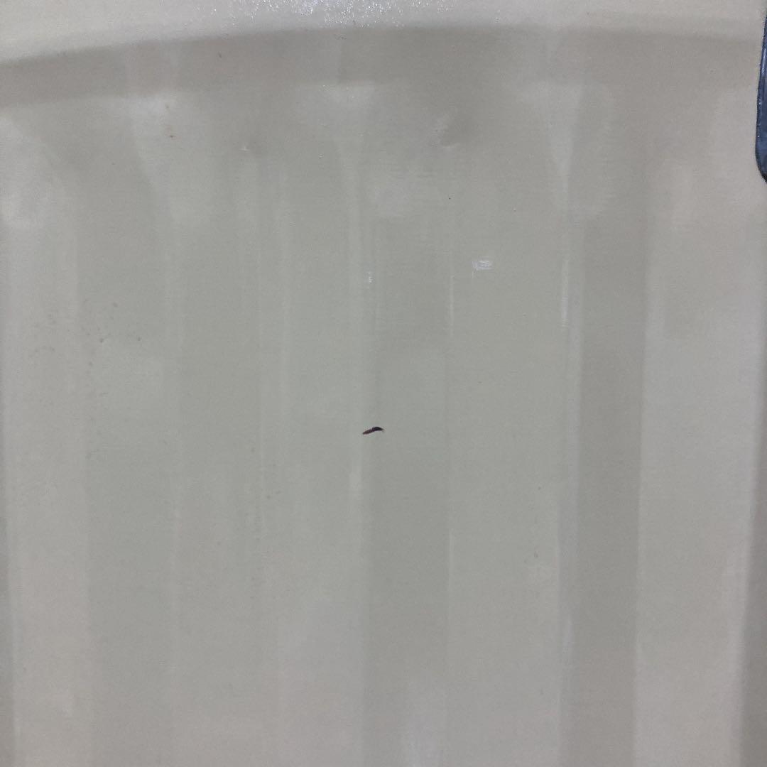 マニーローズ　バケツ缶Ｌ