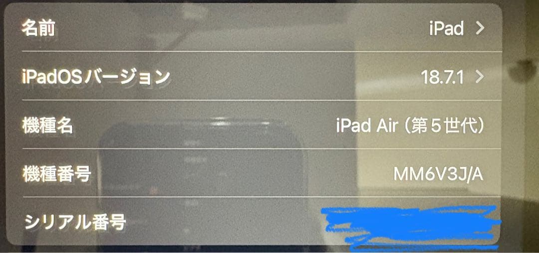 iPad Air（第五世代）Wi-Fi+Cellular 64GB ケース付