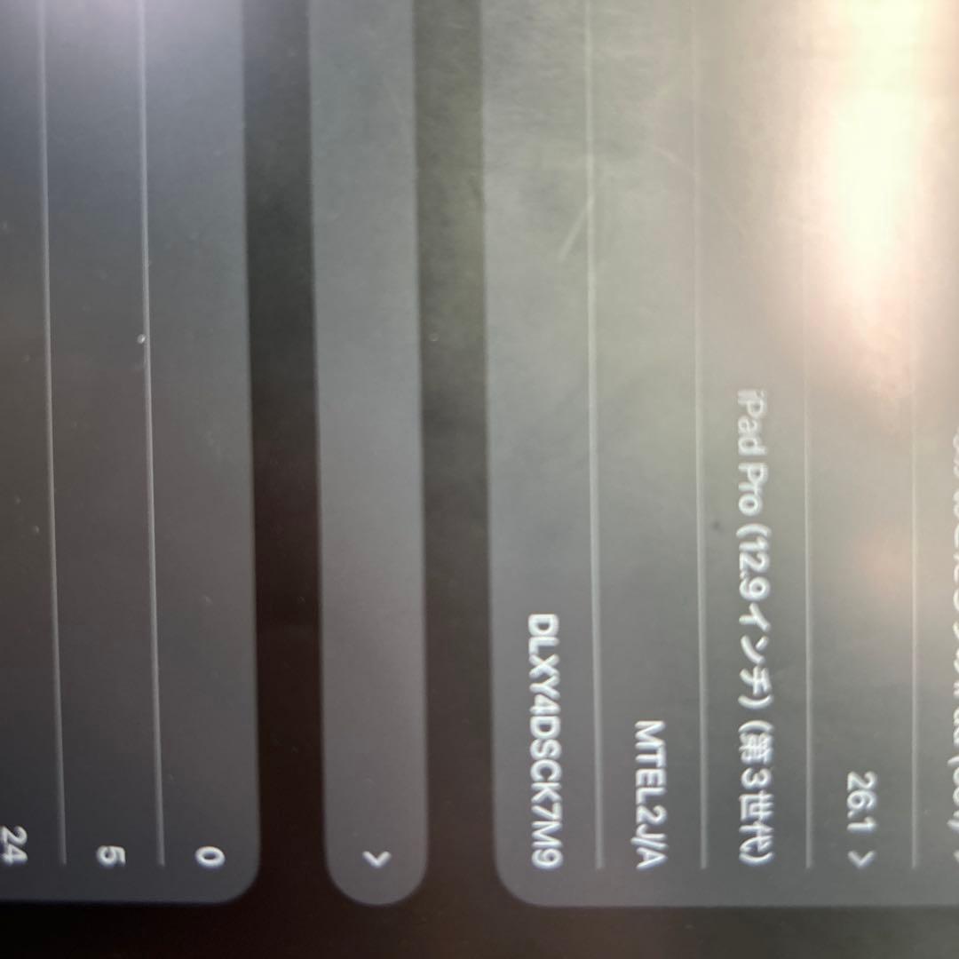 iPad pro12.9インチ第三世代　64GB