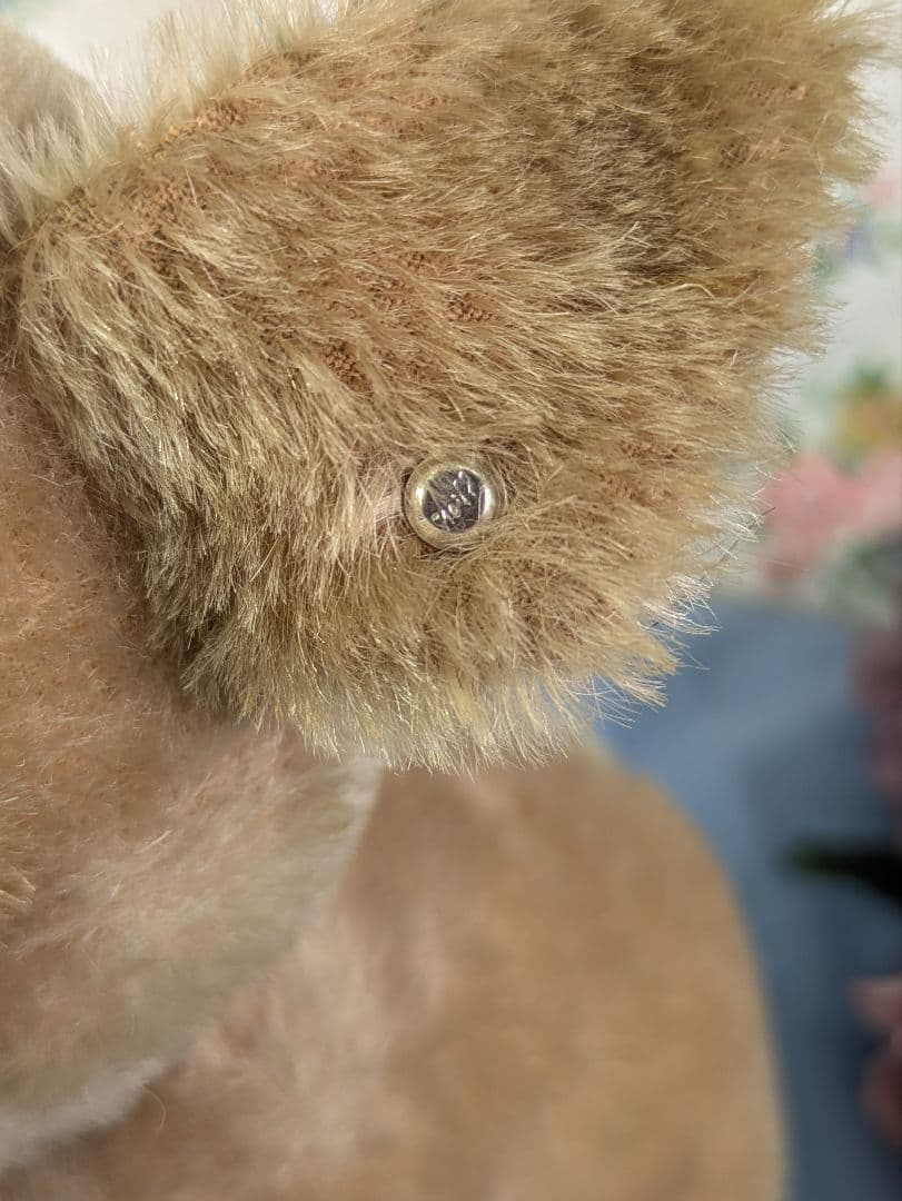 アンティーク シュタイフ社 ドイツ製　犬ぬいぐるみ パグ モプシー 大サイズ