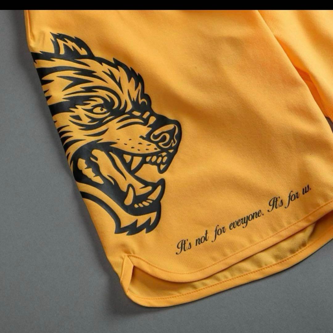 5908完売 darcsport　ダルクスポーツ　ステージショーツ　28ゴールド