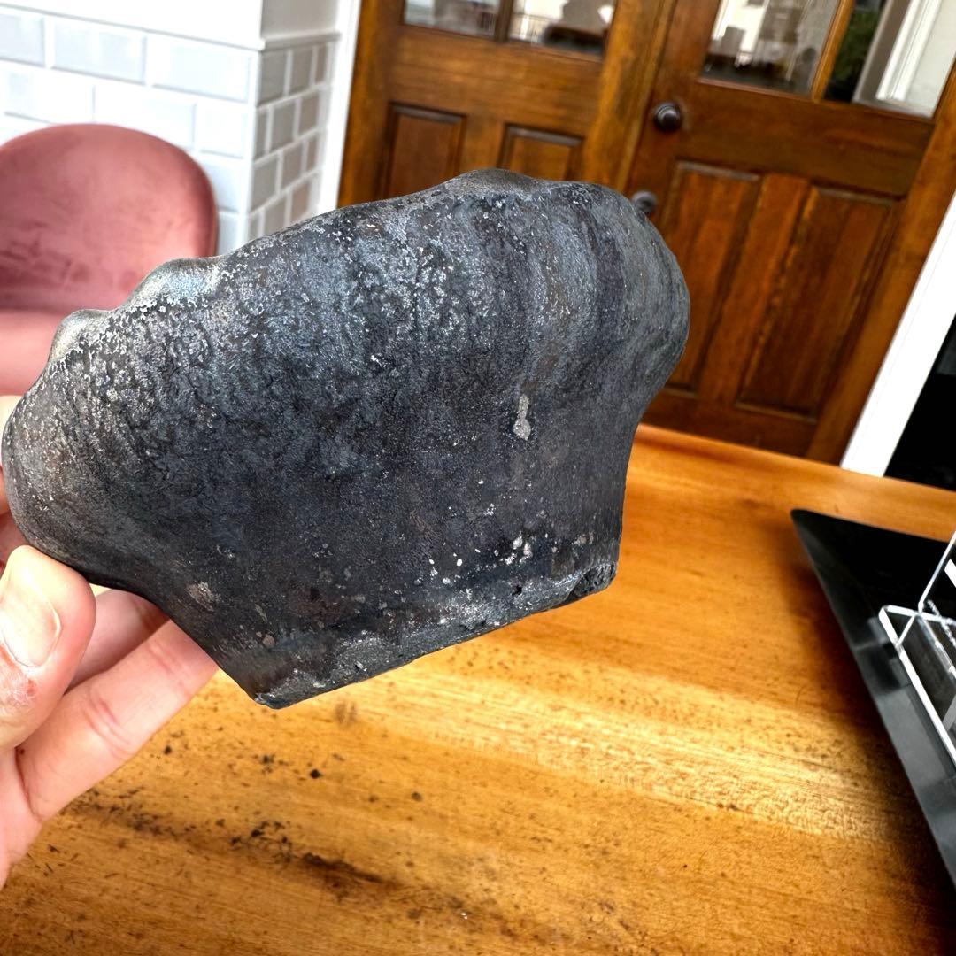 【激レア】　細川政己　鉢　浅鉢　グラキリス