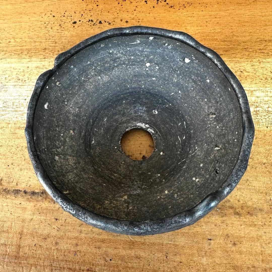 【激レア】　細川政己　鉢　浅鉢　グラキリス