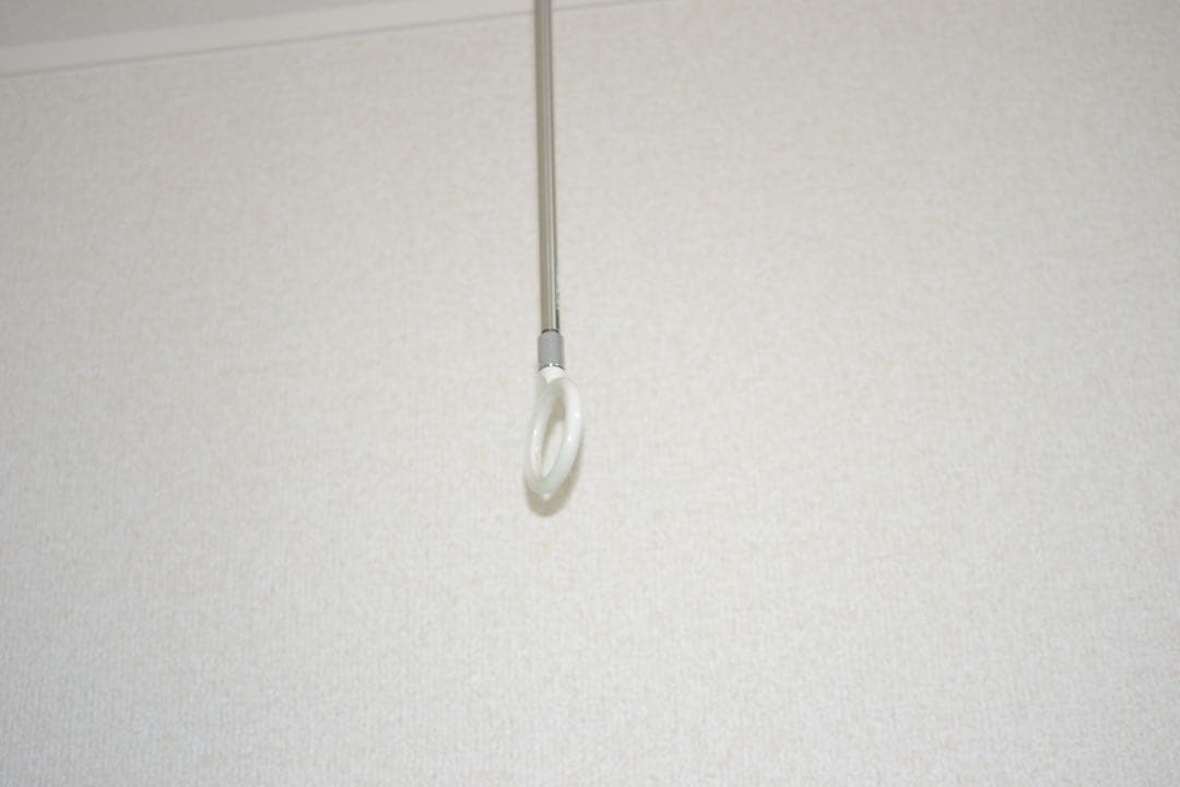 【デジタル一眼レフ】 Nikon D3100