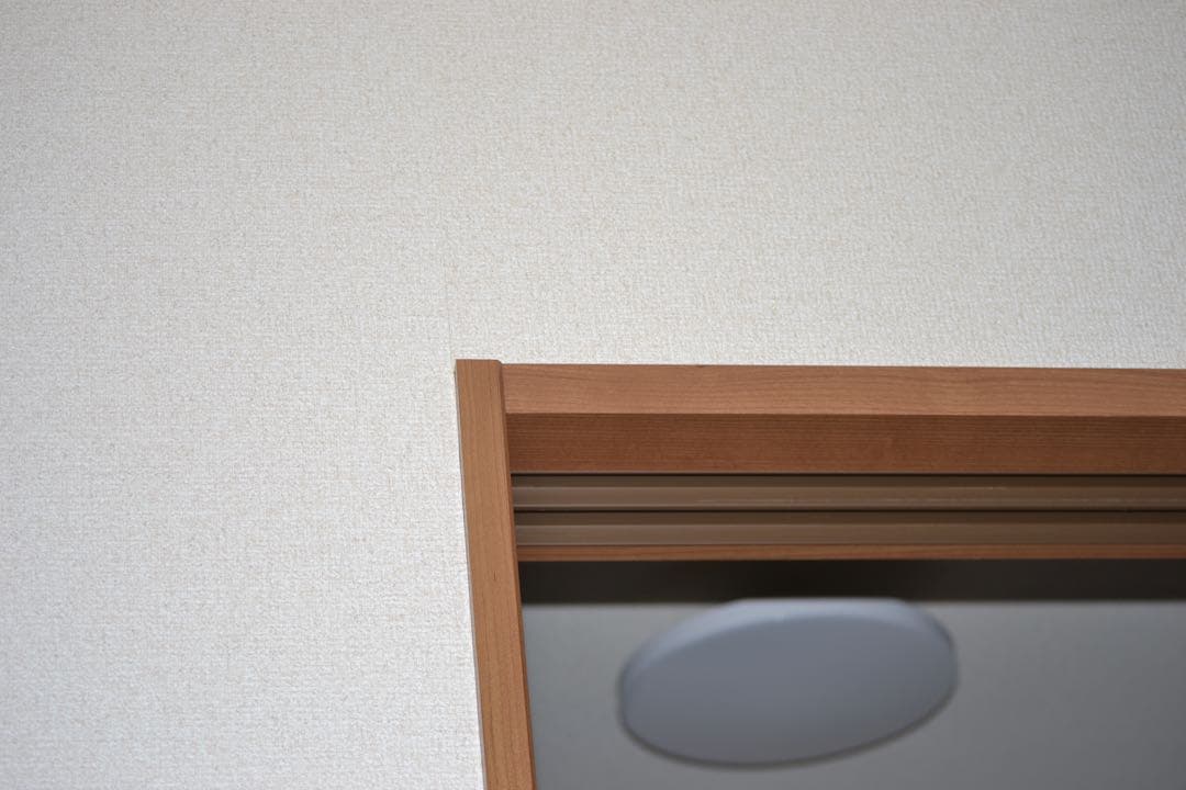 【デジタル一眼レフ】 Nikon D3100