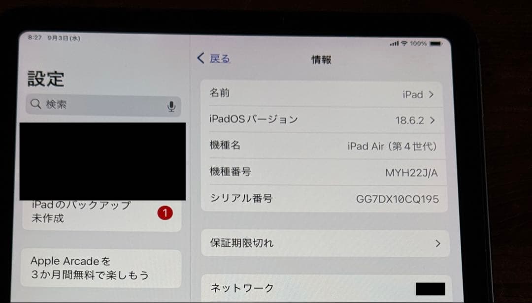 iPad Air セルラーモデル 256GB SIMフリー PEN付き