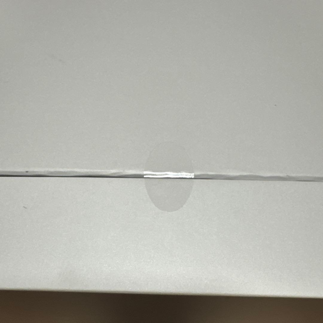 SALONIA サロニア ピュアブライト スチーマー