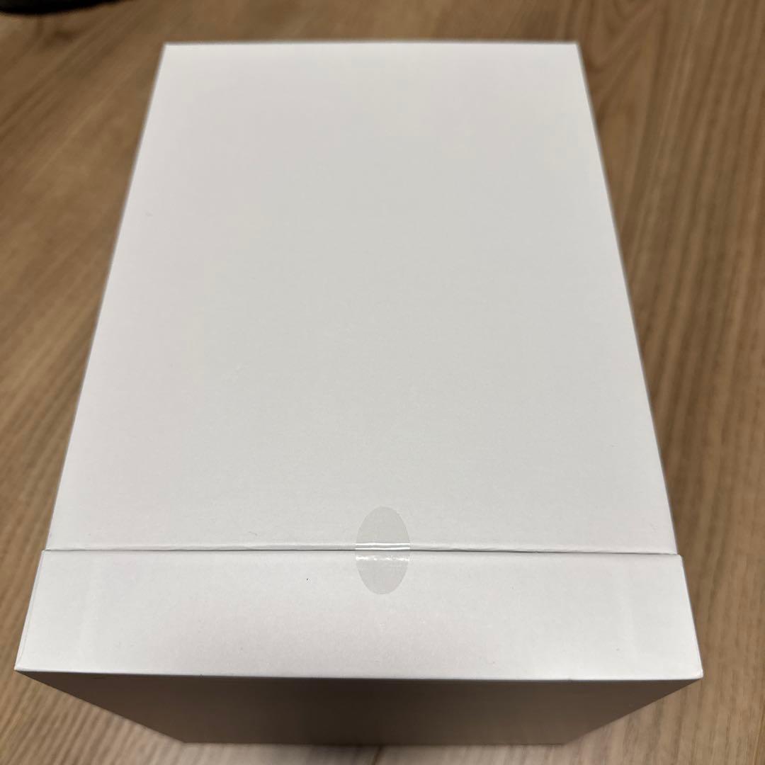 SALONIA サロニア ピュアブライト スチーマー