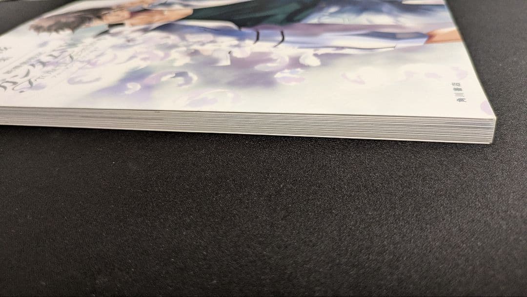 あさぎ桜 画集 新機動戦記ガンダムW フローズン・ティアドロップ