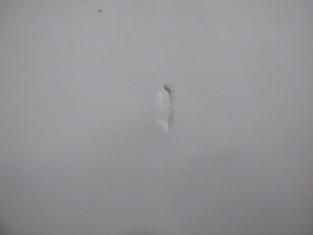 ♥ホームパーティー用♥美濃焼 ・名作良峰作高級浮き上り銀彩皿⬛５種豪華２セット