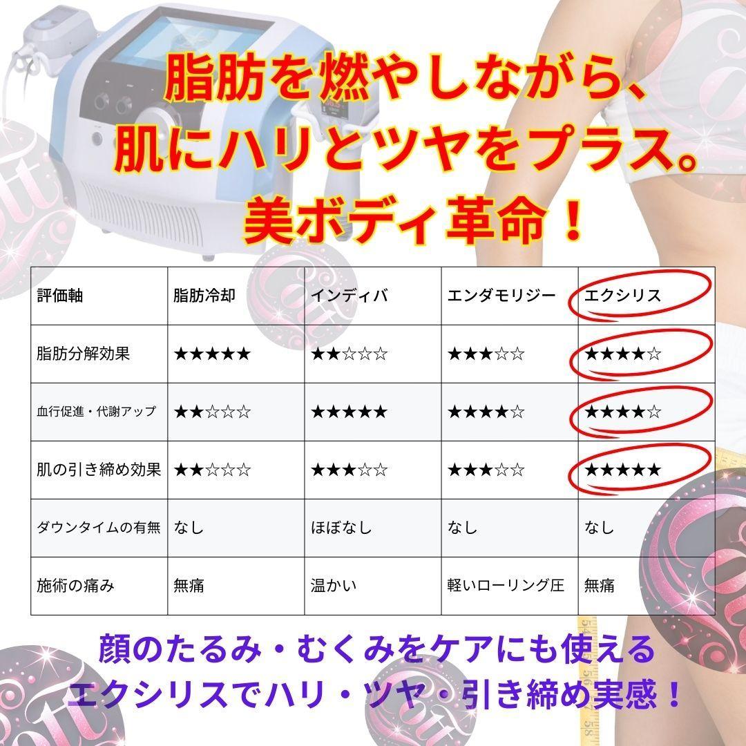 エステ機器 フェイシャル＆ボディ RF 超音波 痩身 ハンドピース付き