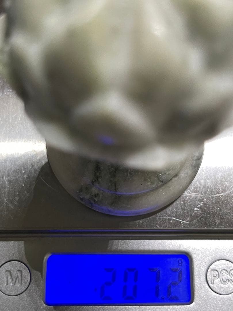 ポンポン様9【1969】 蓮  のり瑪瑙