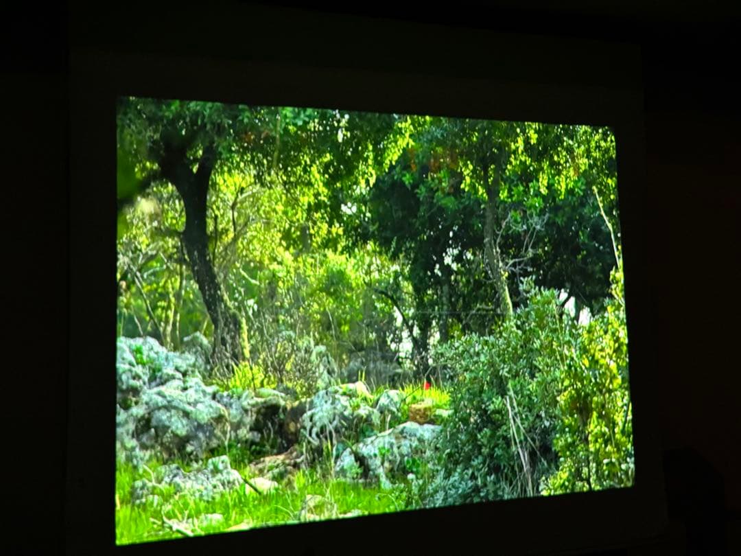 ポップインアラジンＳＥ　天井取り付け型プロジェクター