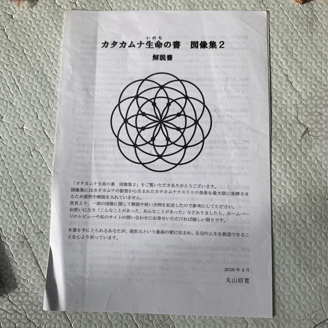 ガン難病を癒す技法 DVDと書籍セット