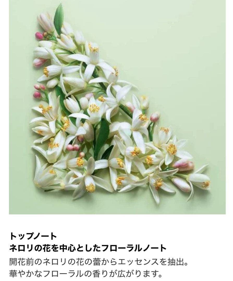 プラダ パラドックス オーデパルファム 50ml